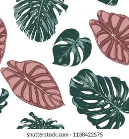 Tropical Jungle Leaves. Vector Seamless Pattern. Philodendron or Monstera Plant Repeating Background for Textile, Wallpaper, Summer Decoration. Floral Seamless Pattern with Alocasia and Monstera Leaf.