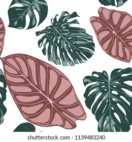 Tropical Jungle Leaves. Vector Seamless Pattern. Philodendron or Monstera Plant Repeating Background for Textile, Wallpaper, Summer Decoration. Floral Seamless Pattern with Alocasia and Monstera Leaf.