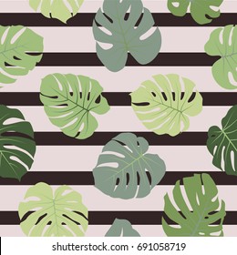 Tropical jungle leaves vector seamless pattern with striped background. Philodendron or monstera green plant repeating background for textile, summer decoration. Floral pattern with monstera leaf. 