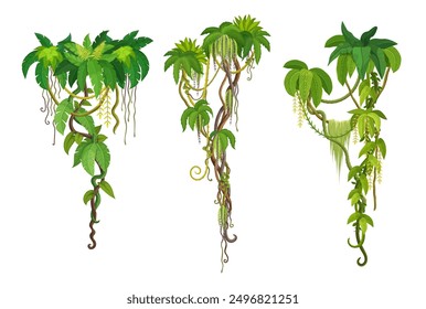 Selva tropical liana ramas de vid de hiedra o planta enredadera con hojas verdes colgantes, Vector de dibujos animados. Liana tropical y selva tropical árbol de algas o vid de hedera con escalada de hoja de monstruo