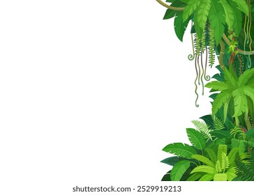 Tropical jungle lianas background border line. Vector branches of forest palm trees, rainforest lianas and climbing plant vines with green leaves and tendrils, jungle fern and monstera bunches