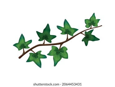 Tropical jungle lianas composition with image of leaves growing from stalk vector illustration
