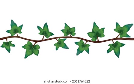 Tropical jungle lianas composition with leaves on exotic liana stalk vector illustration