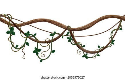 Tropical jungle lianas composition with swirling wooden stalks vector illustration