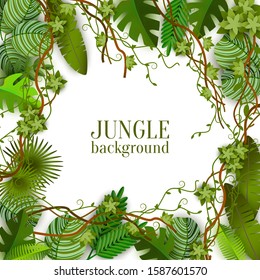 Tropical jungle lianas vine and palm leaves banner with copy space for text the vector illustration isolated on white background. Green summer exotic plants fashion layout.