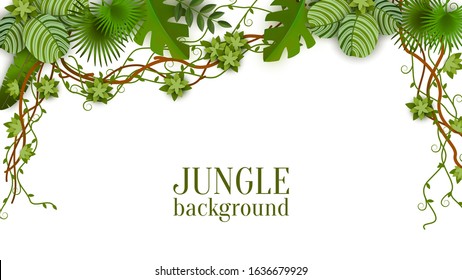 Tropical jungle lianas vine and palm leaves banner the vector illustration isolated on white background. Green summer exotic plants beautiful layout for invitations.