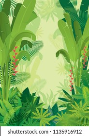 Tropical Jungle Light Background, Forrest, Rainforest, Plant and Nature 