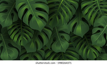 Tropical Jungle Monstera Leaves Background. 