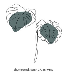 Tropical jungle Monstera leaves Line art. Abstract minimal flora design for cover, prints, floral wall art, Home decor picture, fabric and wallpaper. Vector illustration
