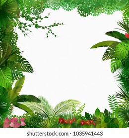 93,533 Jungle border Images, Stock Photos & Vectors | Shutterstock