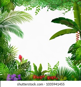 Tropical jungle on white background 