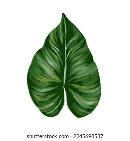 Tropical jungle palm leaf. Realistic vector hand drawn illustration. Isolated on white.