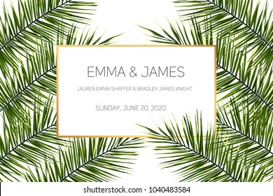 Tropical jungle palm tree leaves on light background. Text placeholder in the middle. Wedding marriage event invitation template. Vector design illustration.