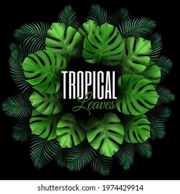 Tropical jungle palm tree leaves card. Circle frame with copy space. Natural Realistic Green Leaf Background. Concept Template for advertising web social media and fashion ads. Vector illustration.