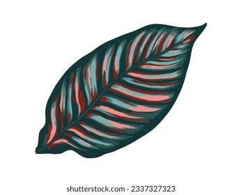 Tropical jungle palm vector leaf. Realistic hand drawn illustration. Isolated on white.
