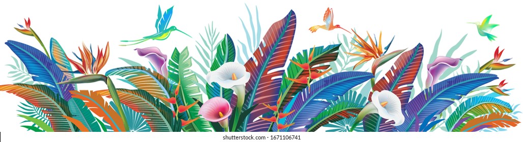 Tropical jungle plants, flower and hummingbirds