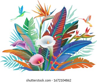 Tropical jungle plants, flower and hummingbirds