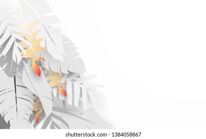 Tropical jungle plants and Palm leaves. White tone background