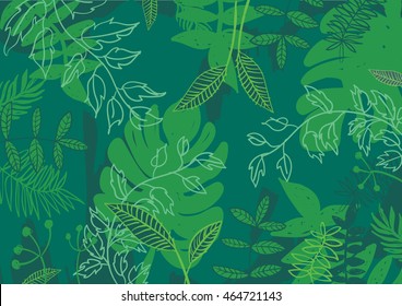 Tropical jungle rain forest vector