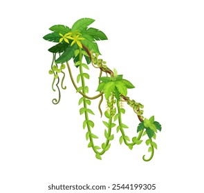 Tropical jungle rain forest vertical liana leaves. African rain forest jungle vine isolated cartoon vector shrub leaves, Amazon flora creeper plant branch, ivy liana hanging twig leaves