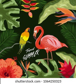 Tropical jungle rainforest plants flowers birds, flamingo , toucan border background