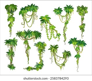 Tropical jungle rainforest vertical liana branch and leaves of ivy plants, cartoon vector set. Tropical liana or creeping jungle tree or rainforest monstera leaves and bindweed plant with tendrils