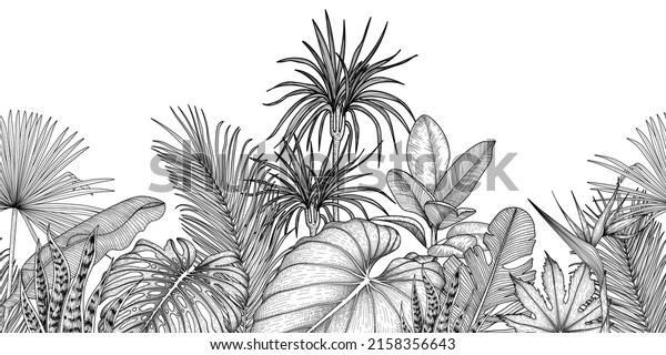 Tropical Jungle Seamless Horizontal Vector Pattern Stock Vector ...