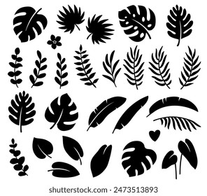 tropical jungle summer black palm leaves set on white background