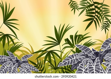 Tropical jungle and sun rays. Vector illustration with space for text.