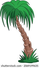 Tropical jungle tree with long green leaves. Palm icon