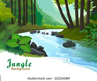 TROPICAL JUNGLE TREES AND FRESH WATER STREAM