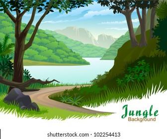 TROPICAL JUNGLE TREES AND SCENIC PATHWAY