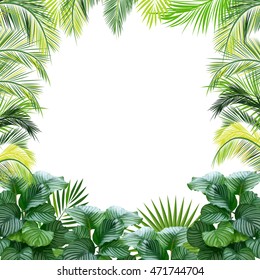 Tropical jungle vector background with palm trees and leaves.