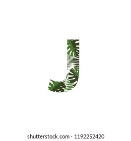 Tropical Jungle Vector Logo Letter J. J Letter Design Vector Jungle Monsterra Leaves.