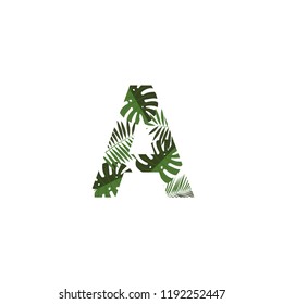 Tropical Jungle Vector Logo Letter A. A Letter Design Vector Jungle Monsterra Leaves.