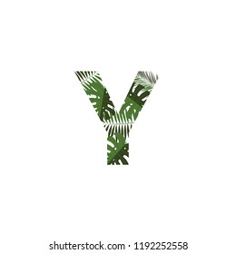 Tropical Jungle Vector Logo Letter Y. Y Letter Design Vector Jungle Monsterra Leaves.