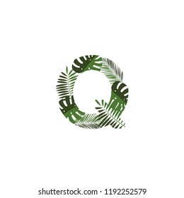Tropical Jungle Vector Logo Letter Q. Q Letter Design Vector Jungle Monsterra Leaves.