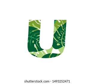 Tropical Jungle Vector Logo Letter U. U Letter Design Vector Jungle Tropical Leaves Logo Icon.