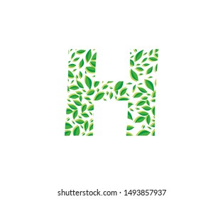 Tropical Jungle Vector Logo Letter H Icon . H Letter Design Vector Jungle Tropical Leaves Logo Icon.