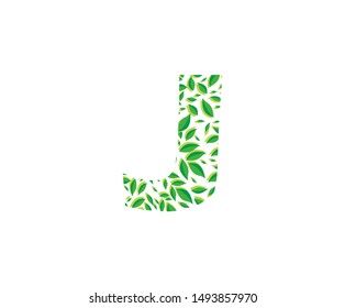 Tropical Jungle Vector Logo Letter J Icon . J Letter Design Vector Jungle Tropical Leaves Logo Icon.