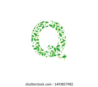 Tropical Jungle Vector Logo Letter Q Icon . Q Letter Design Vector Jungle Tropical Leaves Logo Icon.