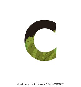 Tropical Jungle Vector Logo Letter C. C Letter Design Vector Jungle Tropical Leaves Logo Icon.