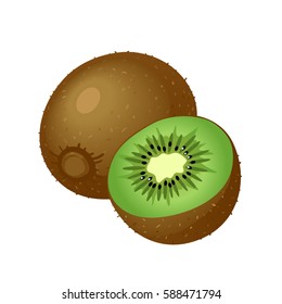 Tropical kiwi fruit. Vector illustration 