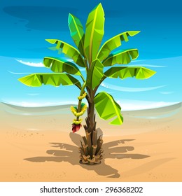 Tropical landscape