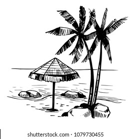 Tropical landscape with palm trees. Hand drawn sketch. Vector illustration. 