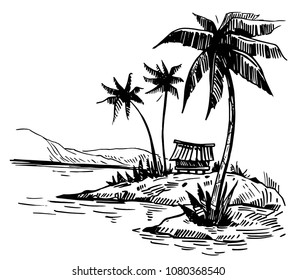 Tropical landscape with palm trees. Hand drawn sketch. Vector illustration. 