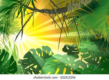 tropical landscape  (tropical plants a vector drawing)