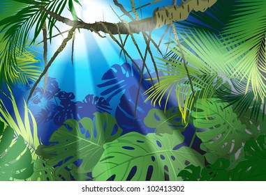 tropical landscape (tropical plants a vector drawing)