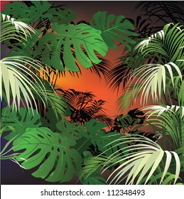 tropical landscape (tropical plants vector illustration)