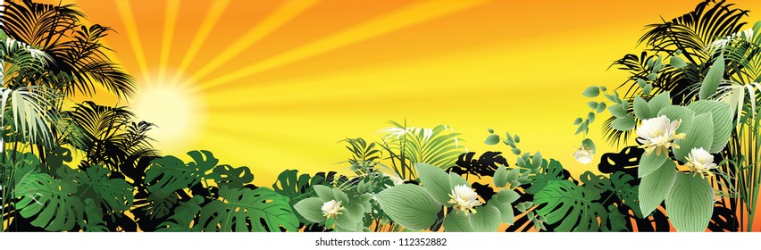 tropical landscape (tropical plants vector illustration)